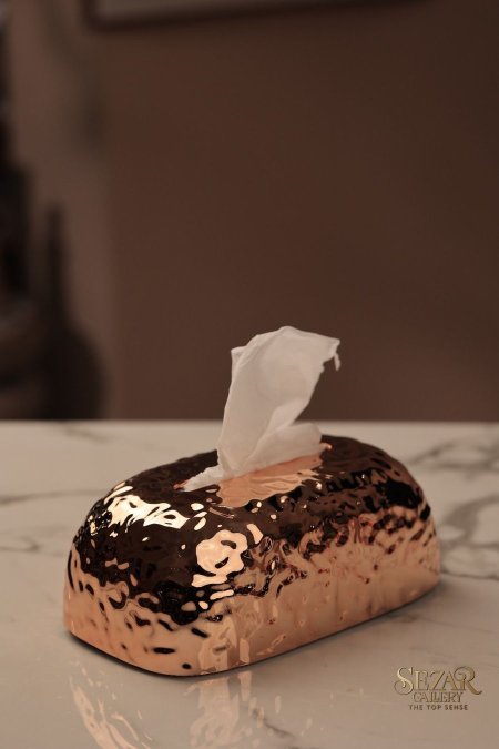 البرونزي 5446-4